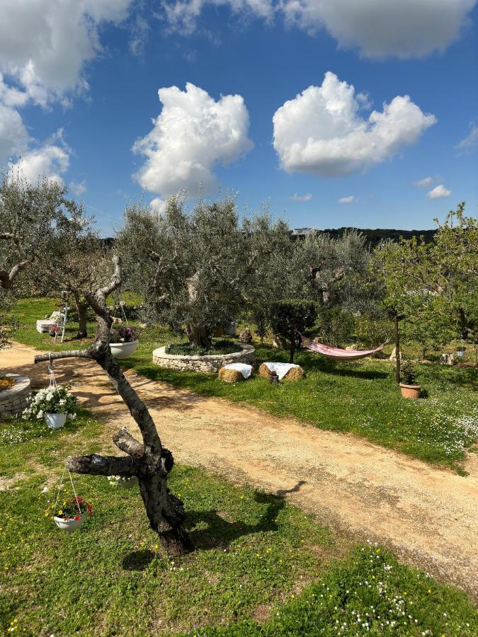 アルベロベッロ Trulli Barsentoゲストハウス エクステリア 写真