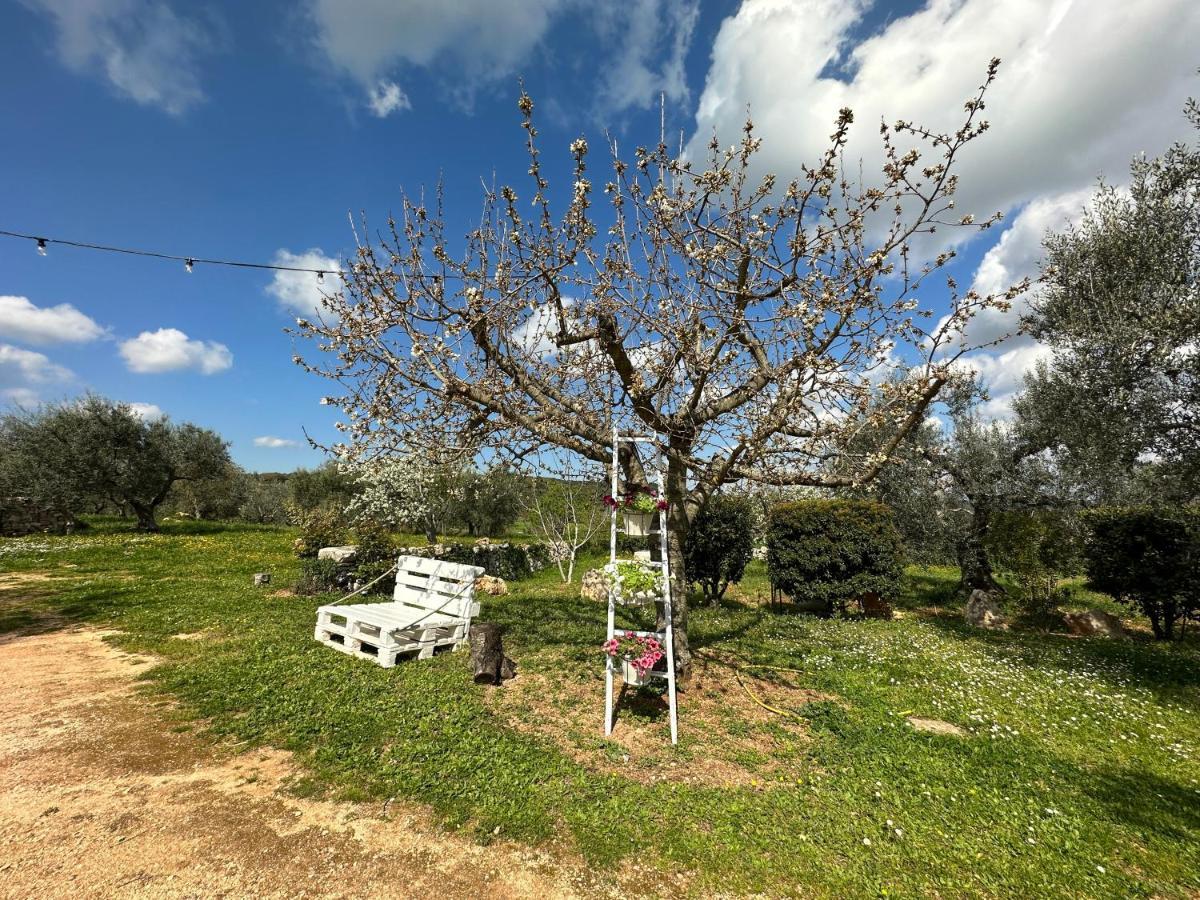 アルベロベッロ Trulli Barsentoゲストハウス エクステリア 写真