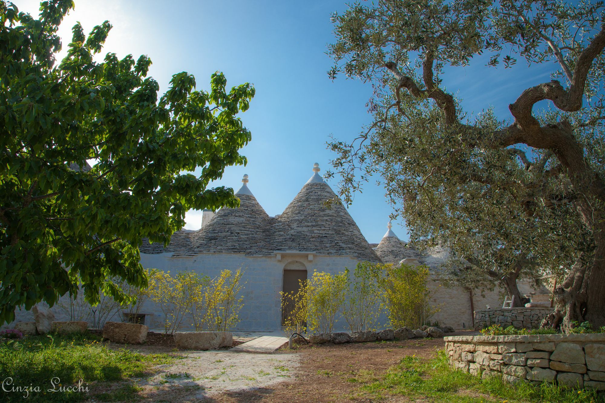 アルベロベッロ Trulli Barsentoゲストハウス エクステリア 写真